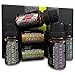 Vault of Vitality Essential Oils for Aromatherapy Gift Set - the Revitalizing 6 of Lavender, Peppermint, Eucalyptus, Lemongrass, Orange & Tea Tree - 10 ml per bottle of 100% Pure Therapeutic Grade