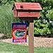 Florida Gators Garden Flag and Yard Banner