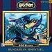 New York Puzzle Company - Harry Potter Hungarian Horntail - 300 Piece Jigsaw Puzzle