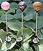Set of 3 Ball Lamps, Solar 3.5