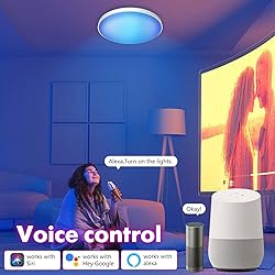 AMKI Smart RGB Ceiling Light Flush Mount