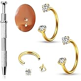 Horseshoe Nose Ring 20G U Shape Piercing Jewelry Titanium Steel Gold Double Gem Small Hoop for Helix Lip Cartilage Tragus Septum