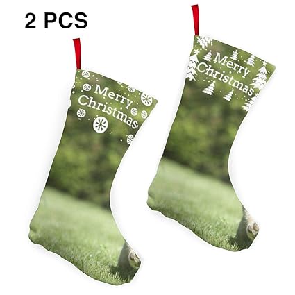 Amazoncom Robotdayupup Shiba Inu Dog Names 2pcs Christmas