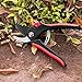 Butterfly Love Garden Pruning Shears, 8