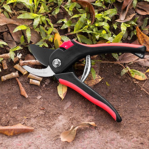 Butterfly Love Garden Pruning Shears, 8" Professional Bypass Hand Pruners with SK-5 Sharp Steel Blade and Safety Lock, Heavy Duty Tree Trimmers Secateurs, Clippers for the Garden