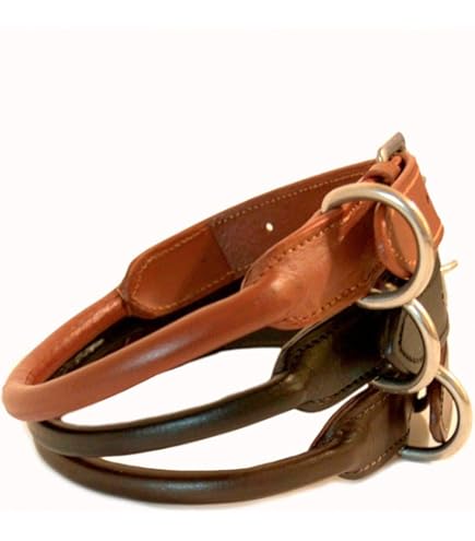 Coastal Pet Products 2208 Leather Latigo Round Dog Collar, 1 by 24