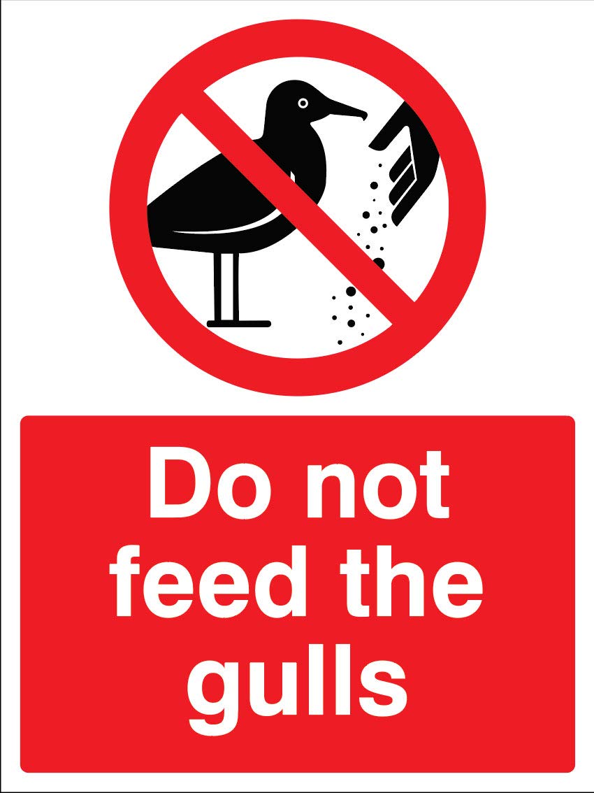 Do not feed the gulls Rigid PVC Safety Sign