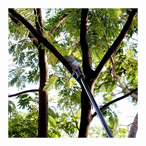 IF.HLMF Professionelle Teleskop-Baumsäge mit gebogenem Haken, Astsäge und Aluminium-Teleskopstange als Baumschneider mit… – Bild 6