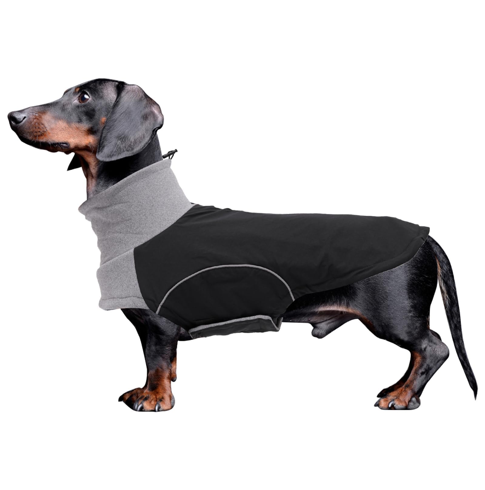babepet Dachshund Winter Coat, Waterproof Miniature Dachshund Clothes, Small Dog Coat Jacket,Dachshund Jumper with Turtle Neck,Pet Garment Ideal for Walking,Hiking,Camping-Black-XS — image 1