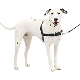 PetSafe Easy Walk Harness, No Pull Dog Harness, Charcoal Gray, Medium/Large | Patented Martingale Loop Gives Gradual Shoulder Pressure to Stop Pulling, Front-Chest Leash Clip Prevents Gagging