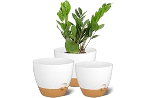 ZMTECH 9/10/12 Inch Plant Pots Sets, Selfwatering Planters with Drainage Holes Saucers for Indoor Outdoor Plants, Plastic Flo