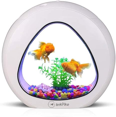 Amazon Com Gankpike 1 5 Gallon Fish Aquarium Jellyfish Betta