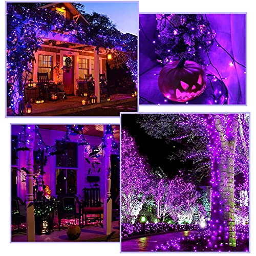 2-Pack 39ft 100-LED Solar String Lights Outdoor, 8-Lighting Modes Solar Christmas Lights Waterproof Green Wire Purple Halloween Lights for Outdoor Garden Party Wedding Halloween Decorations(Purple)