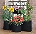 ECOgardener Grow Bags Square Foot Planter Raised Bed Fabric Pot with Handles - 12