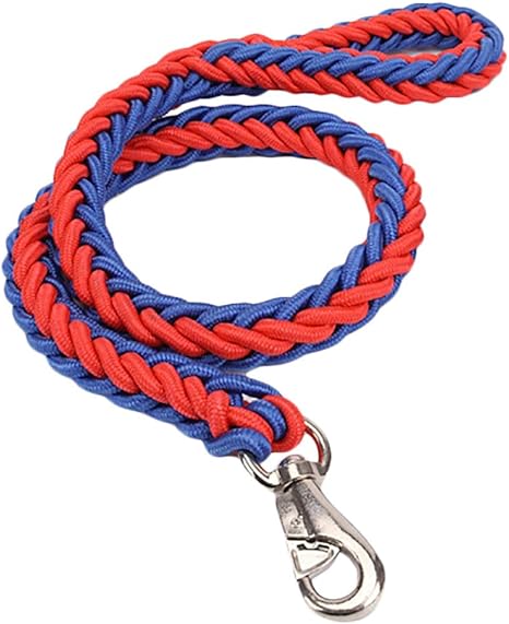 BIGBOBA. Correa de Perro Fuerte Nylon Adecuado para Perros ...