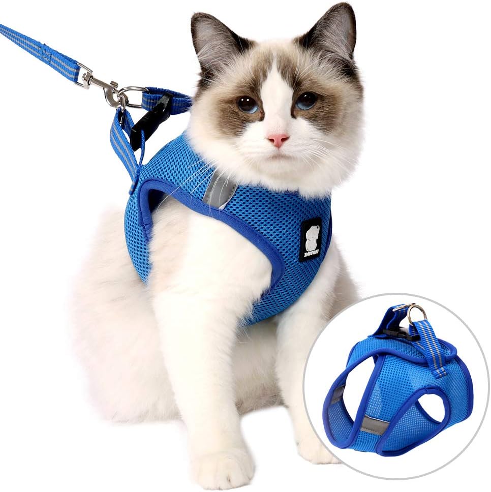 cat hates harness