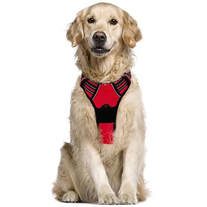 Rabbitgoo Harnais Chien L Arnais Rouge Anti Traction