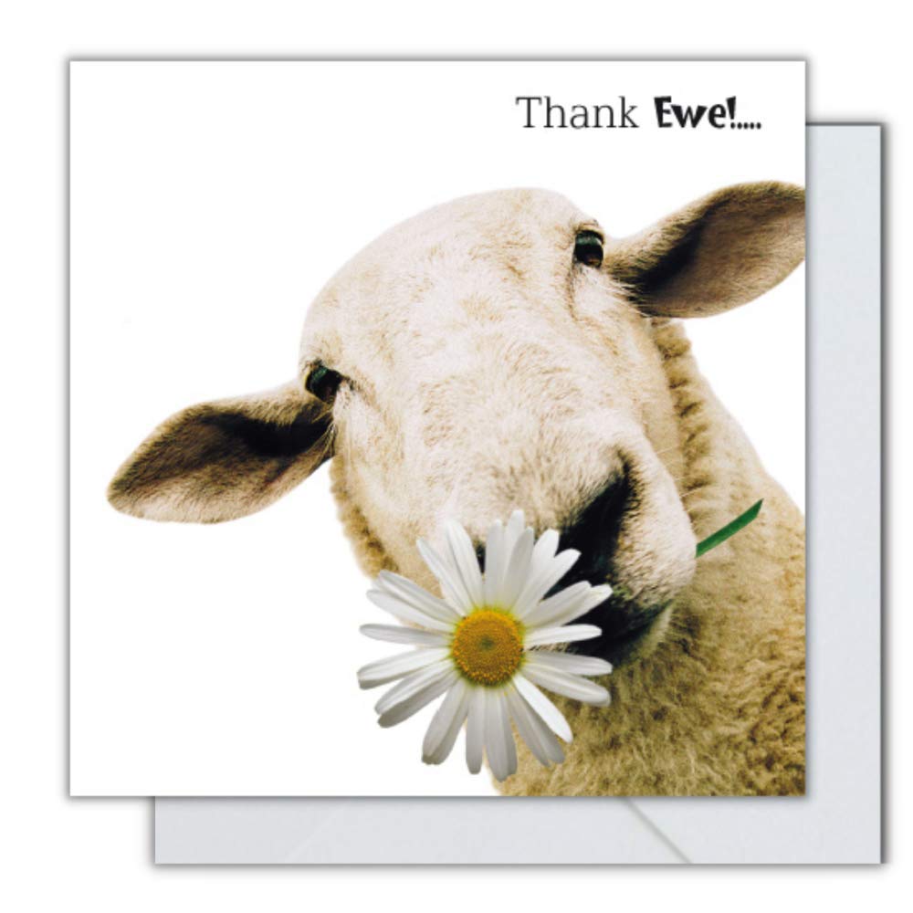 Crazy Critterz You, Greetings Card, 163x163mm