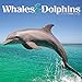 2019 Whales & Dolphins Wall Calendar by 