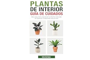 Plantas de Interior - Guía de Cuidados: Descubre Cómo Mantener tus Plantas Naturales en Óptimas Condiciones Todo el Año