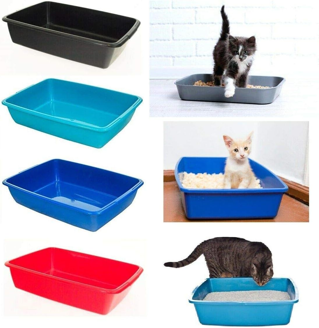 kitten litter tray