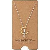 WRISTCHIE Moon Cat Pendant Necklace Sterling Silver Box Chain for Women Celestial Jewelry 18“