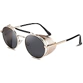 FEISEDY Steam Punk Sunglasses for Men Women Side Shield Round Steampunk Vintage Glasses Shades B2518