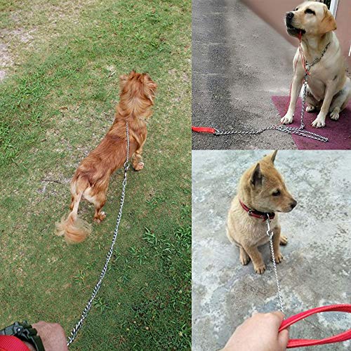 image for Berry Pet Beirui Premium 6 Foot Chain Heavy Duty Dog Leash - Soft Padd