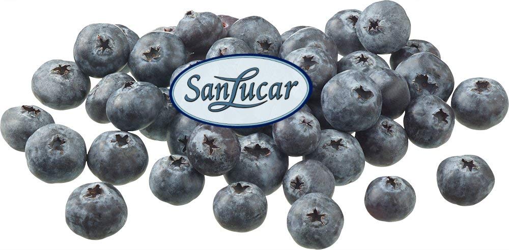 KNOWALOT (Trivial pursuit style question game)