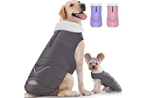 iBuddy Dog Winter Coats with Fleece Vest,Waterproof Warm Dog Snow Jacket Windproof, Reflective Adjustable Pet Dogs Cold Winter Coat for Dogs Girl Boy