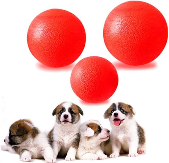 ZZM - Pelota de Goma Maciza para Cachorro, Perro, Juguete de ...