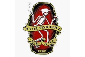 FINK STUDIO Social Distortion Vinyl Sticker Waterproof Decal Laptop Wall Window Bumper Sticker 5"
