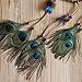 Ricdecor Indian Dream Catcher Wind Chimes Feather Pendant Wall Hanging Home Decoration (Peacock Feathers)