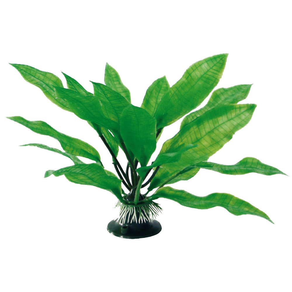 Wave Echinodorus Bleheri Plant Classic, Medium