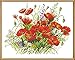 CaptainCrafts Cross Stitch Kits, New Stamped Kit Printed 11CT Fabric Cross Stitching DIY Art DMC Needlecrafts Embroidery Kit for Adults Beginner (Stamped, Flowers are in Full Bloom)