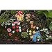 Tonsiki 33 Pieces Miniature Garden Accessories Fairy Garden Ornament Kit for DIY Dollhouse,Succulent,Plant Decoration