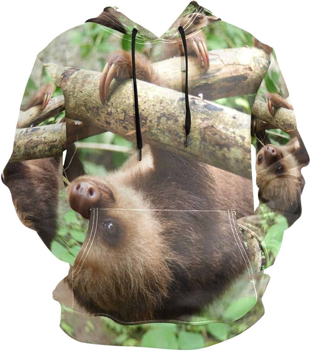 sloth pullover