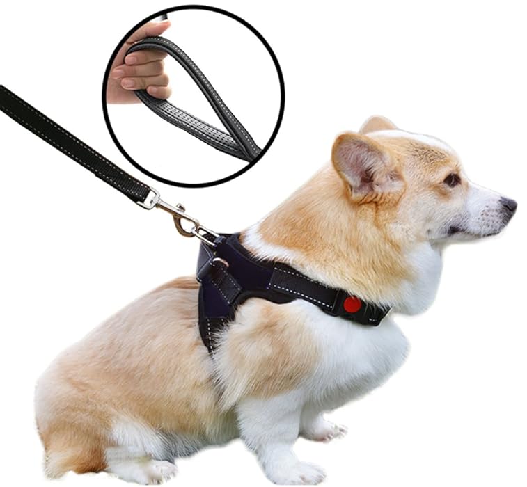 Top 20 Best Escape Proof Dog Harness for 20172018 on Flipboard by Cynthia Purnell
