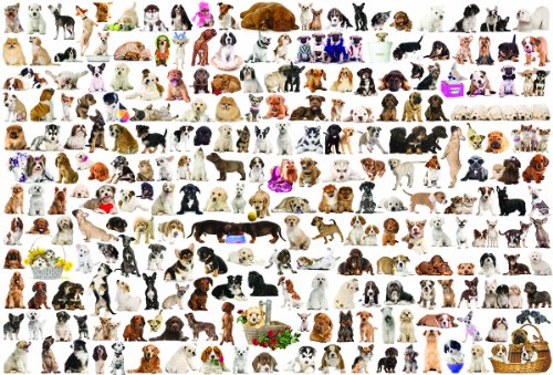 EuroGraphics The World of Dogs Puzzle (2000-Piece)