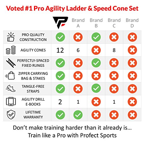 Pro Agility Ladder Cones - 15 ft Fixed-Rung Speed Ladder 12 Disc Cones Soccer, Football, Sports Training - Includes Heavy Duty Carry Bag, 4 Metal Stakes, 2 Agility Drills eBooks (Pink)