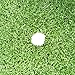 Gaoqi Golf Mat Residential Practice Hitting Mat 12''x24'' with Realistic Synthetic Turf Grass, Portable Training Equipment (Free 6 Ball and 1 Tee)