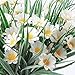 AmyHomie Artificial Flowers, Silk Daisy, Artificial Gerber Daisy for Home Decoration, Artificial Daisy for Wedding Decoration (white with leaves)