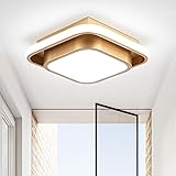 Sovinzert Hallway Light Modern LED Ceiling Light
