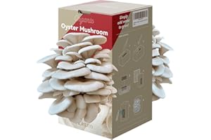 inbloom Organic Oyster Mushroom Growing Kit with Spray, Harvest Fresh Mushrooms at Home, Beginner Friendly & Easy to Use, Unique Gardening Gift for Holiday, Handmade in New Jersey, USA