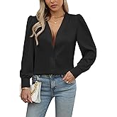 Blouses for Women Business Casual Tops Satin Silk V Neck Long Sleeve Button Down Shirts Work Blouses