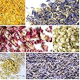 bMAKER Flower Kit (6 Pack, Cornflower) 1.5-Cup Bags