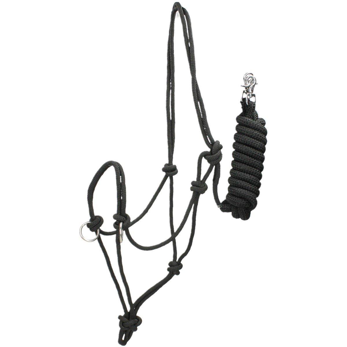 ethnologisches Halter with Reins