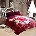 JYK 10 lbs King Ultra Silky Heavy Thick Korean Mink Bed Blanket, Two-Ply Printing Reversible (Flower&Red)