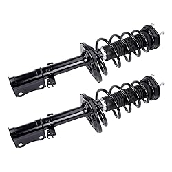 Torchbeam Rear Struts Assembly w/Coil Spring Shocks