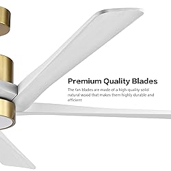 WINGBO 54 Inch DC Ceiling Fan with Lights and